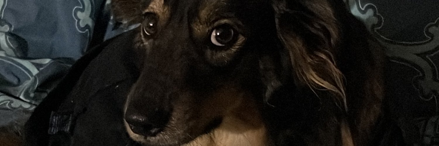 CoryLiset's profile banner image