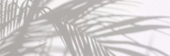 KaylaEmbuscado's profile banner image