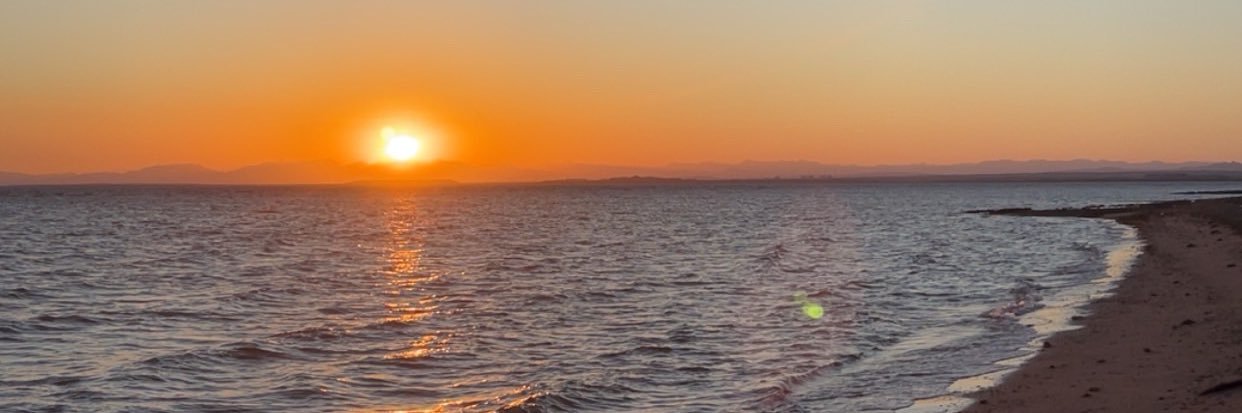 meshooe12's profile banner image