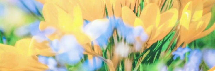ؘ banner