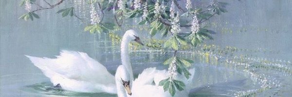 dolledscent Profile Banner