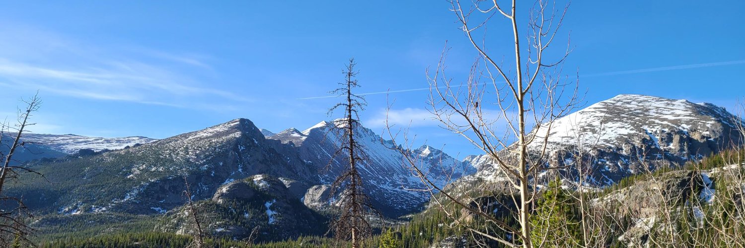Chinnu Parinandi banner
