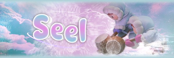 Seel_ssbu Profile Banner