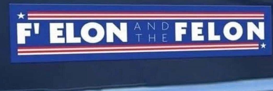 Disgusted American banner