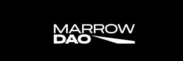 MarrowDAO | Guild W Profile Banner
