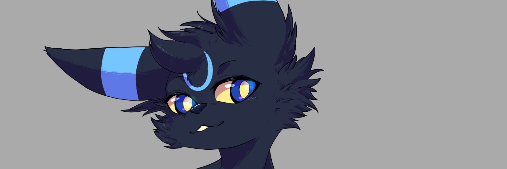 NotableRiptide's profile banner image