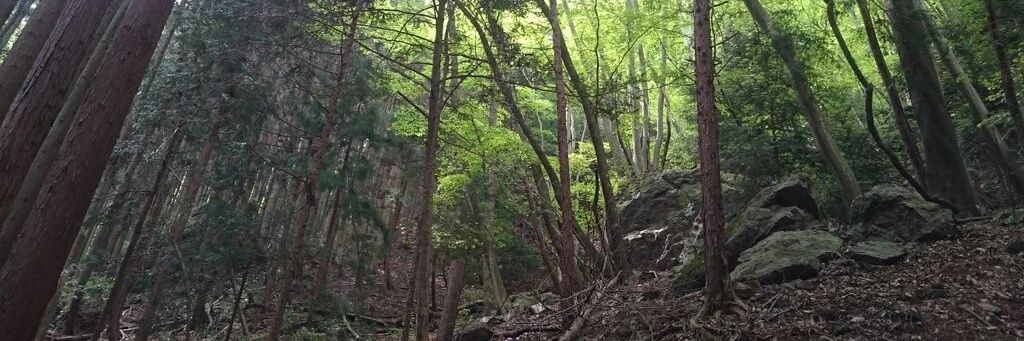 さいたーマン公式（元埼玉県初の公式ご当地キャラ）暗黒皇帝救世主黙示録　推しは森口博子 banner