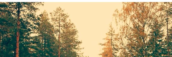 ColeFattig Profile Banner