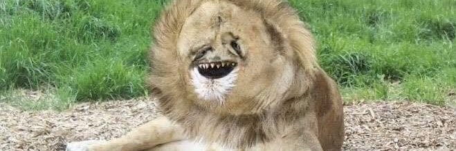 根本沒有在戒奢ㄉ勾 banner