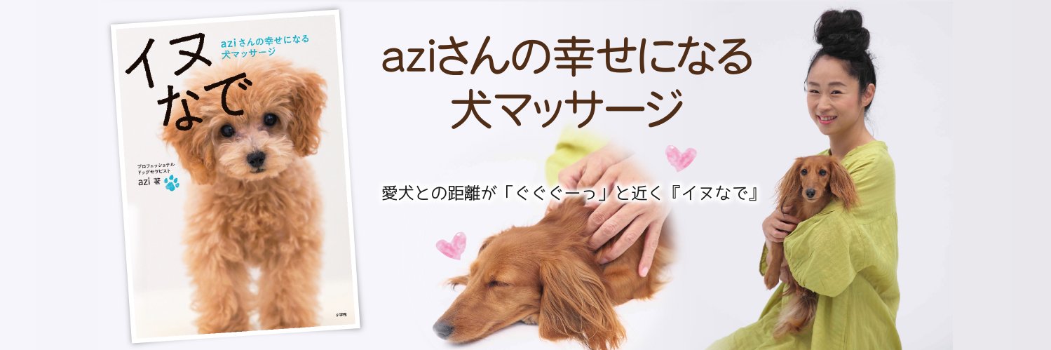 aziaqua's profile banner image