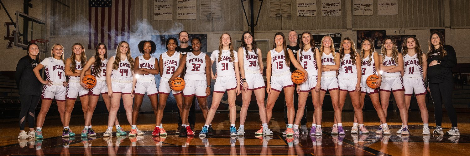 Davidson Academy Girls Basketball banner