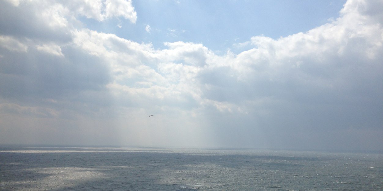 taiv_10's profile banner image