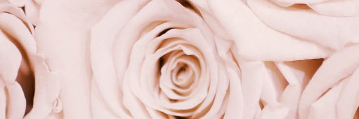RomeroDaisha's profile banner image