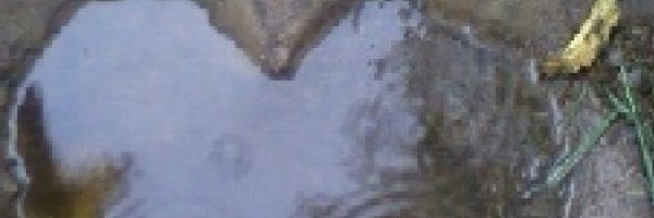 giocani banner