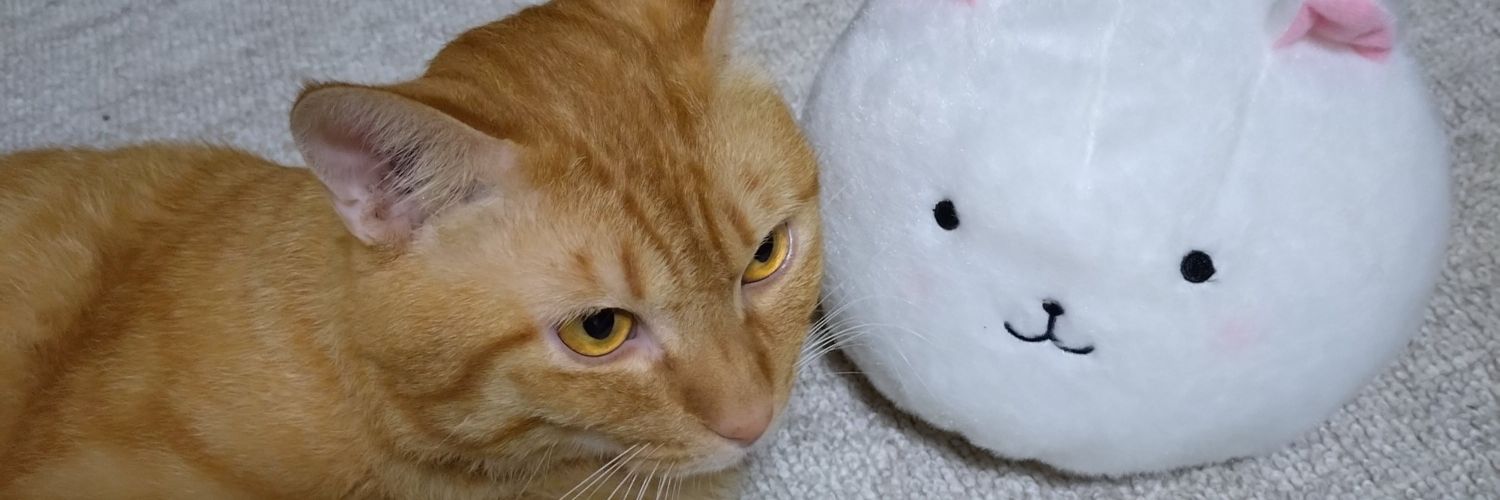 きむさん banner
