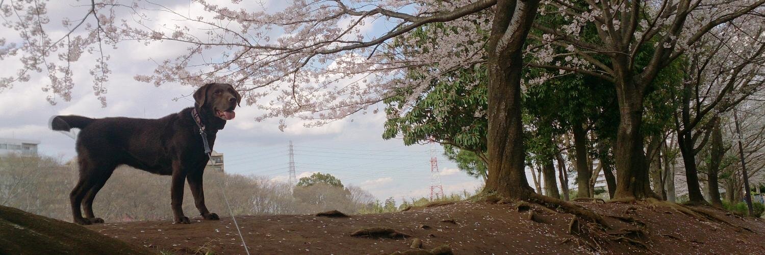 Hanako_Boss's profile banner image