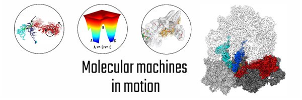 N__Fischer Profile Banner