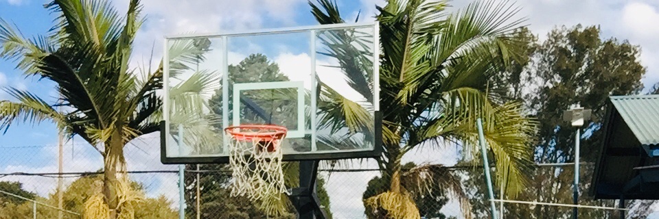 swishdaking's profile banner image