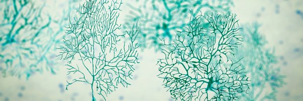 CEN_ITN Profile Banner