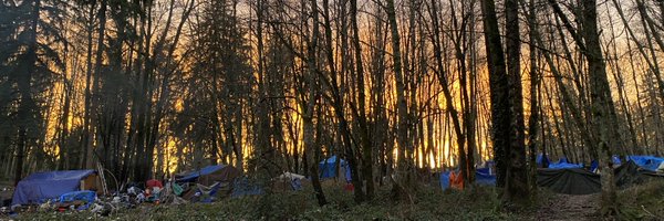 choeshow Profile Banner