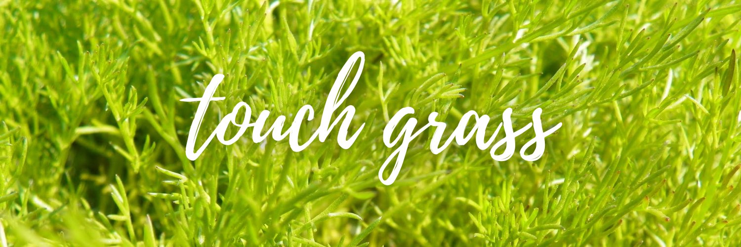 Soul_Wish's profile banner image
