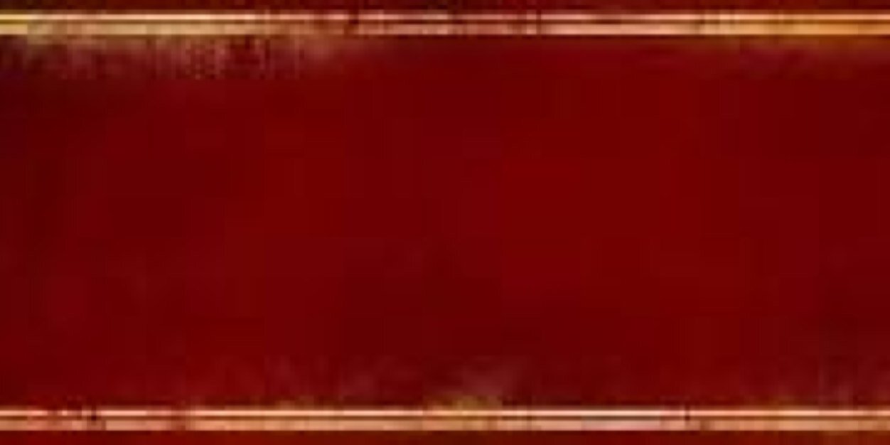 Pheonix infinite banner