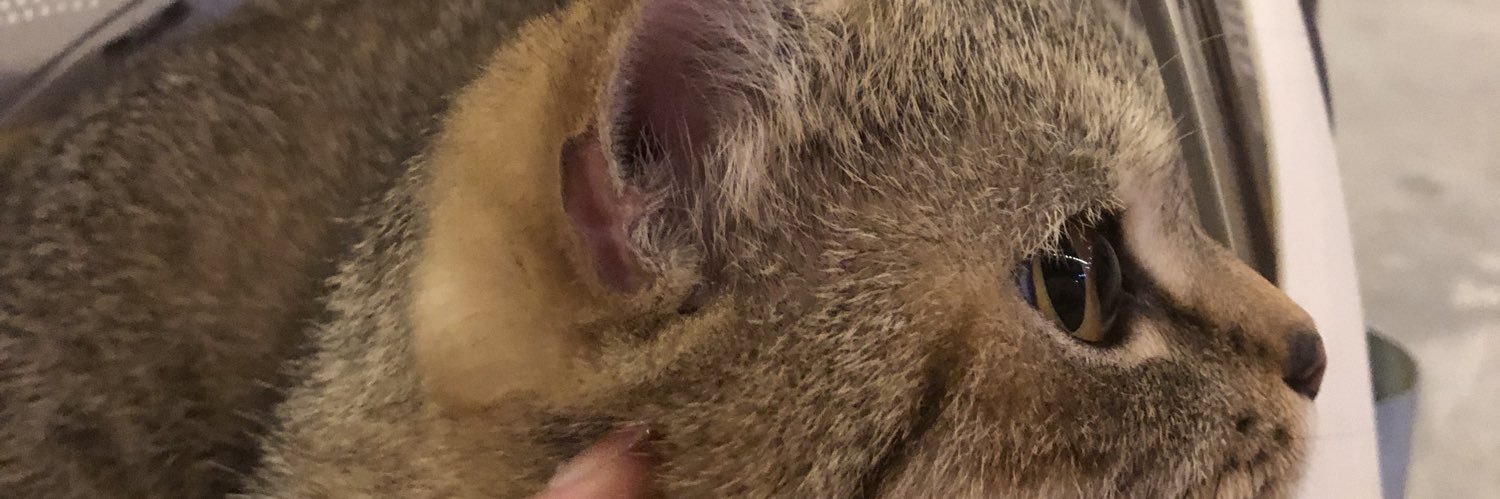 meqi_123's profile banner image