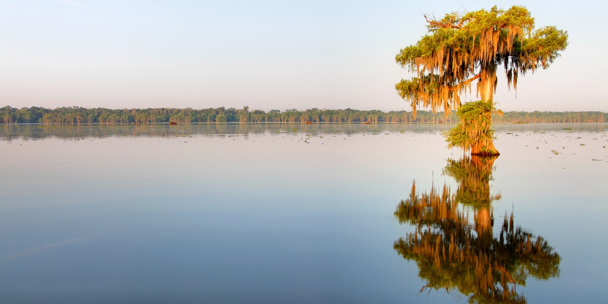 John M. Barry banner