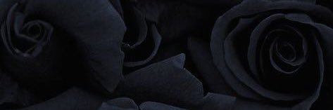CandiceLKing's profile banner image