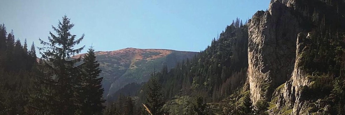 W_Czabanowski's profile banner image