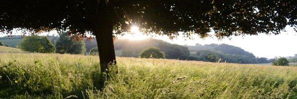 RewildingDevon Profile Banner