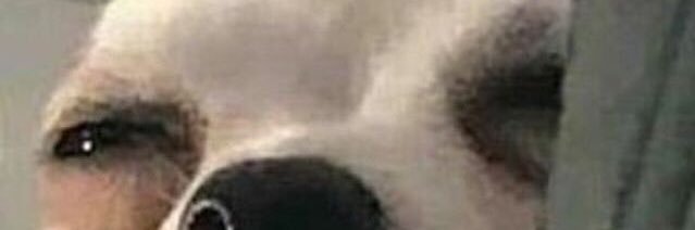 kooks_kai's profile banner image