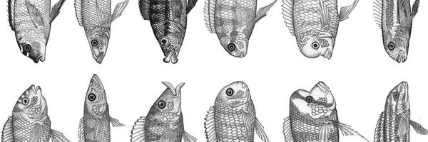 BioSouzaDaniela Profile Banner