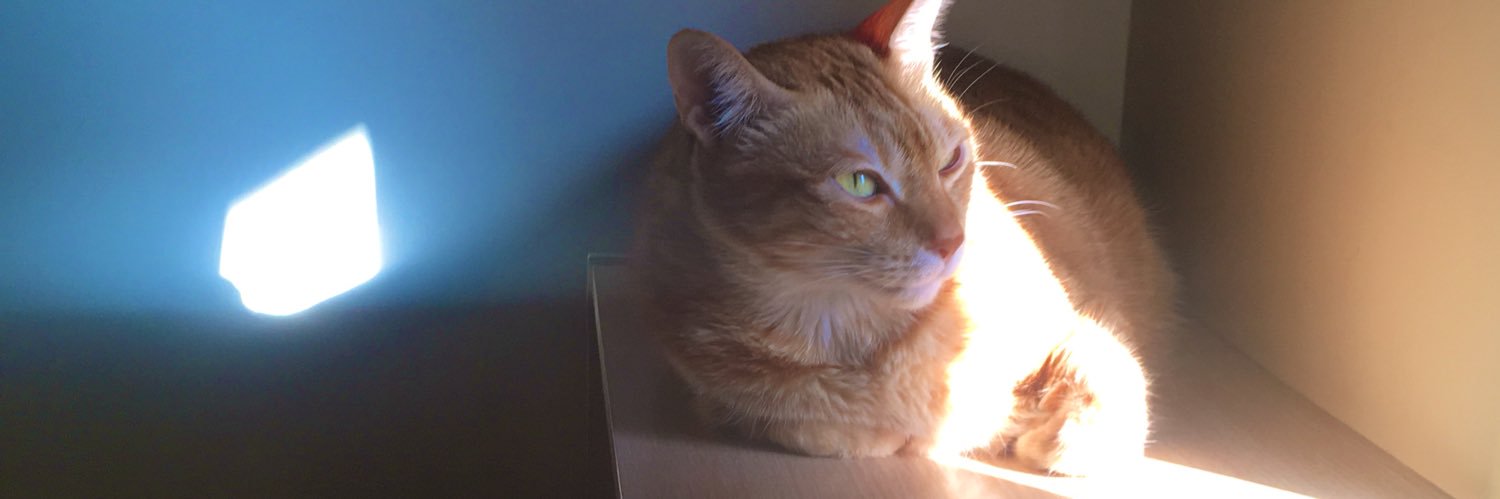 sealioler's profile banner image
