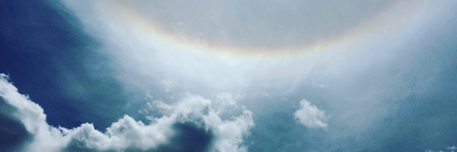 Zeltzinea's profile banner image