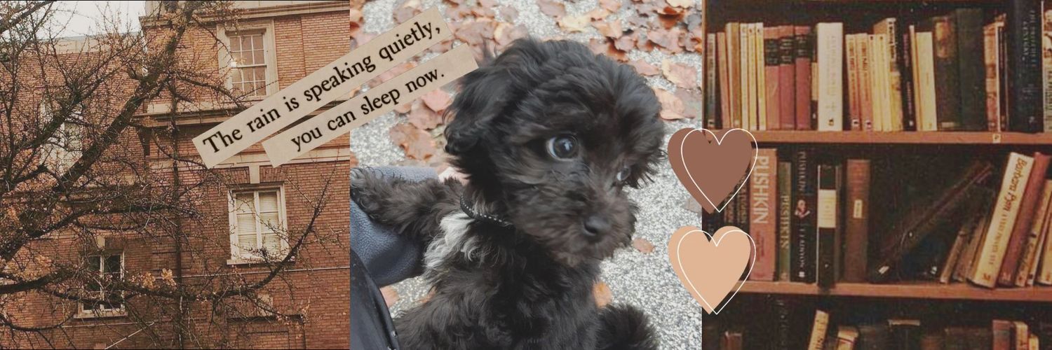 hegotchrizz's profile banner image