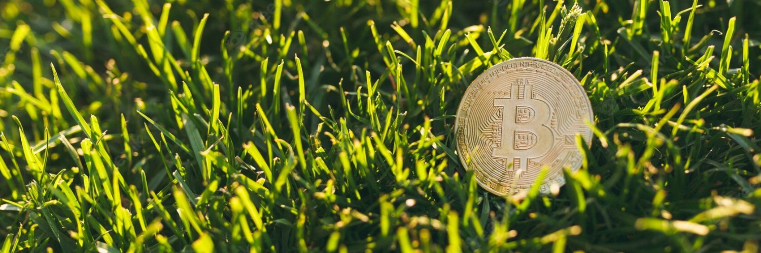 RobertCryptOZ's profile banner image