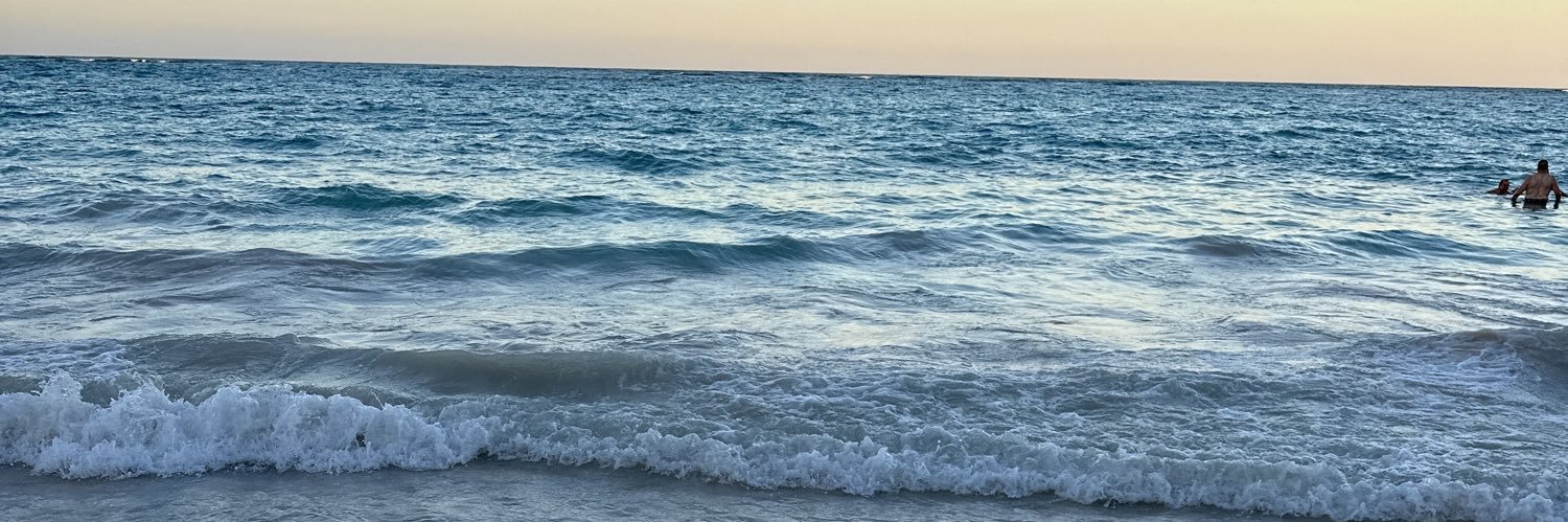 IlardoMi's profile banner image