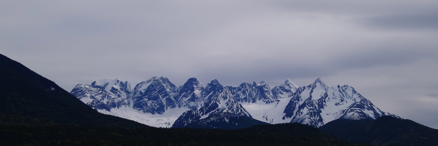 Richard Wesley banner