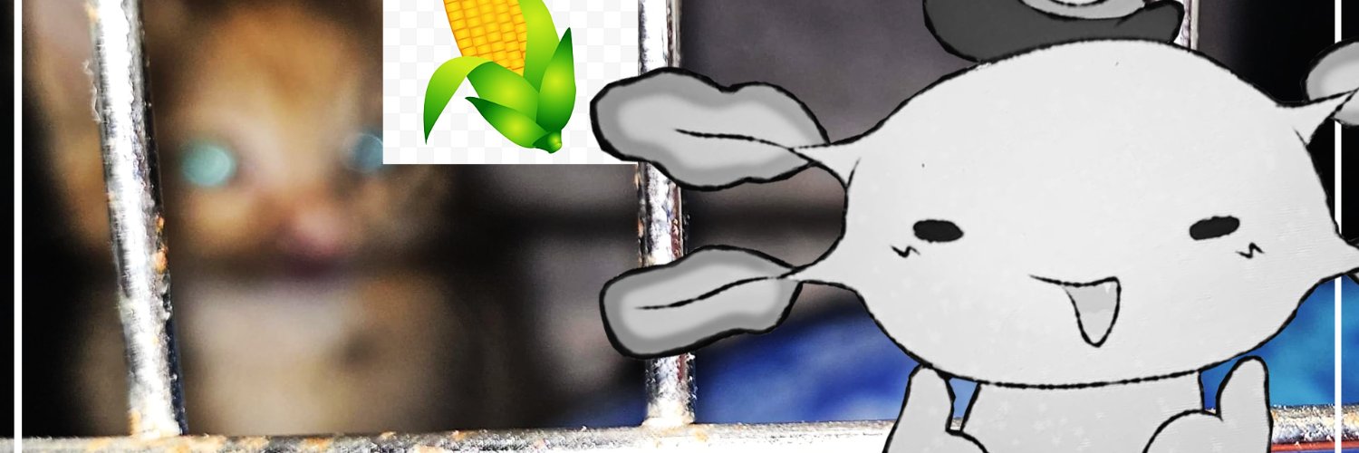 🌽Axo Elote🌽 banner