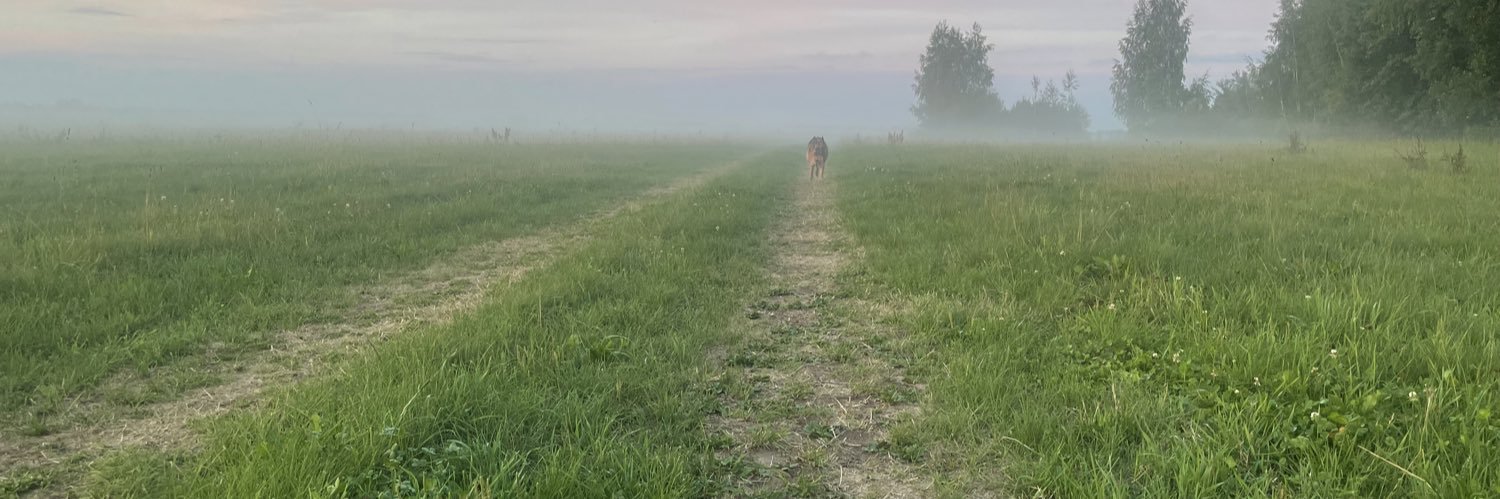 Аляксей banner