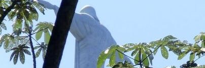 Elaine Maxwell banner