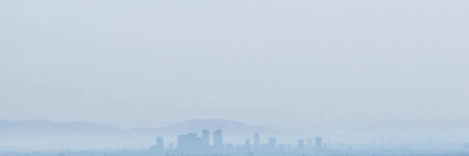 斑猫バニラ banner