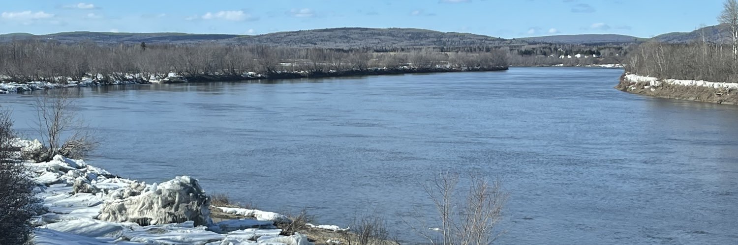 Automatic Savage banner