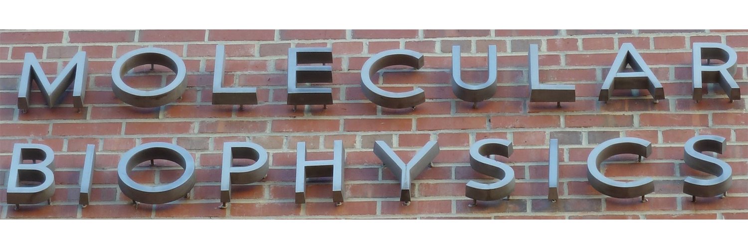 MOB Graduate Program at FSU banner