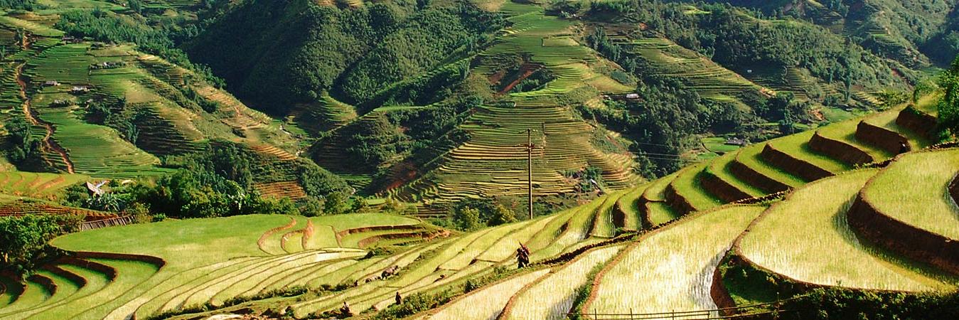 No longer active - e-MFP banner