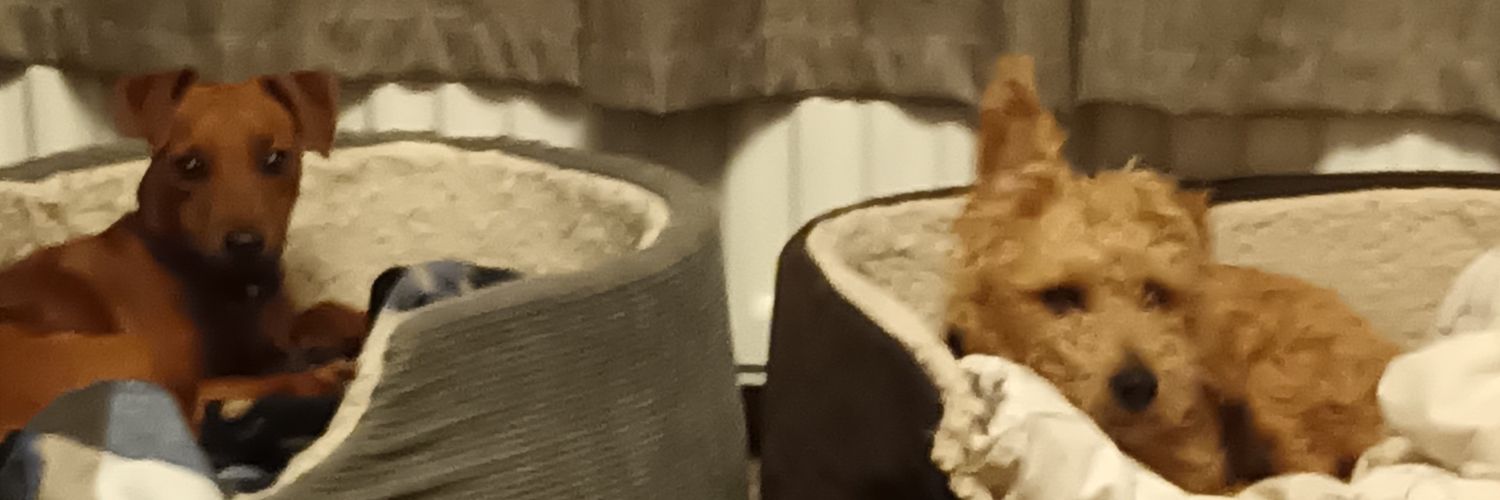 PaulJones00's profile banner image