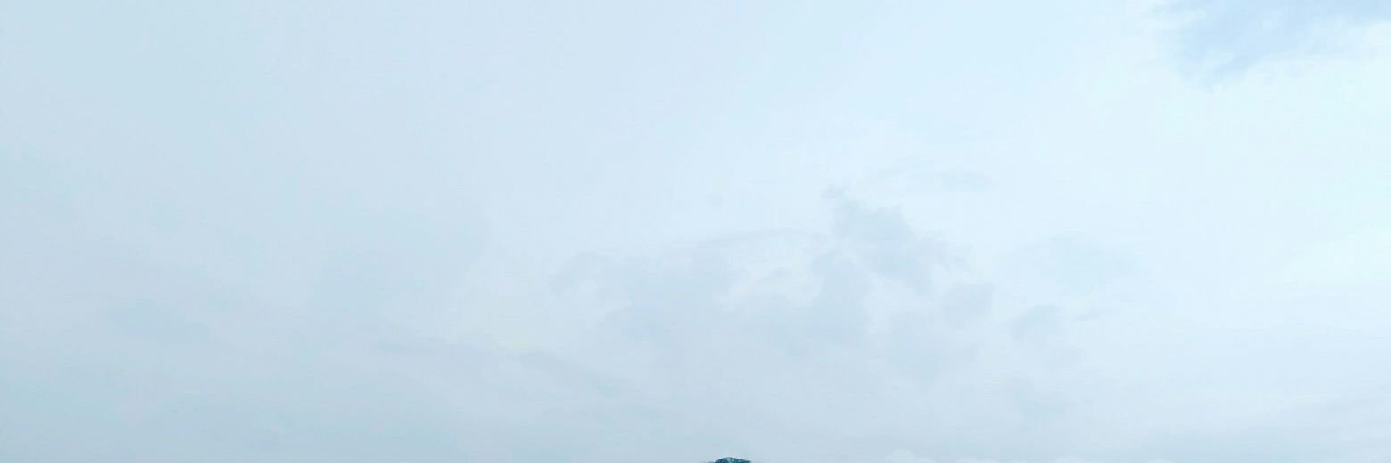 barjoou's profile banner image