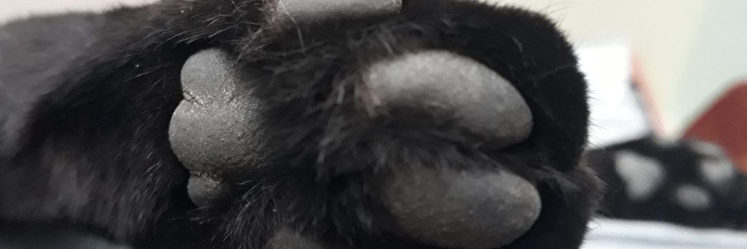 Serjuz's profile banner image