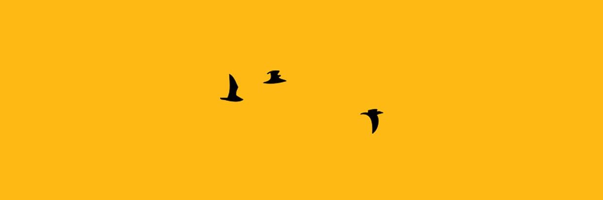 Aa__li's profile banner image